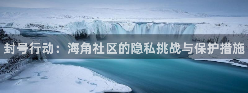 海角社区hj9e6：封号行动：海角社区的隐私挑战与保护措施