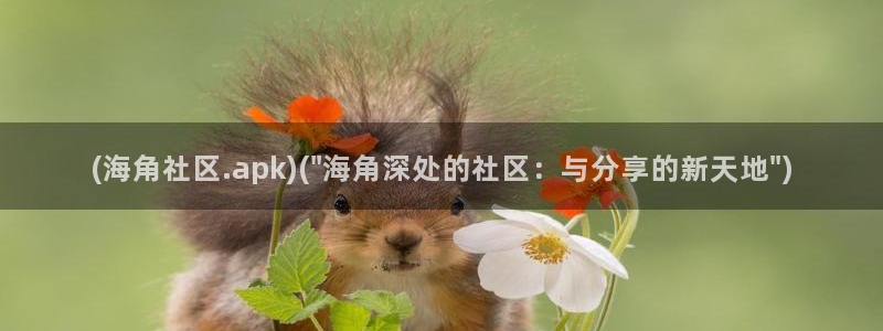 海角社区一个钻石多少钱：(海角社区.apk)(\