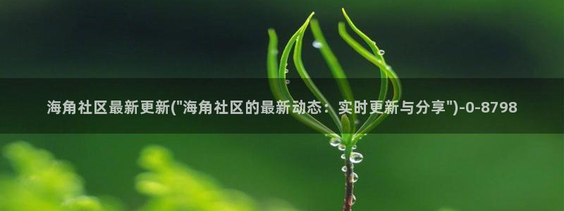 海角社区问题：海角社区最新更新(\