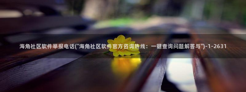 海角社区袁静海角