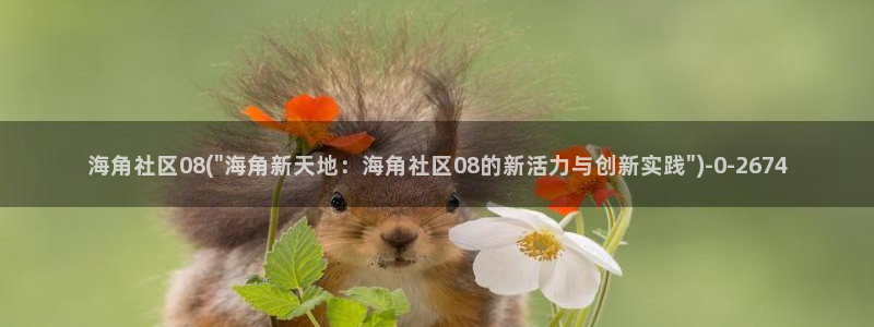 海角社区老是网络延迟：海角社区08(\