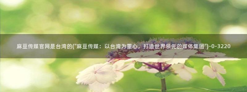 91麻豆精品传媒官网：麻豆传媒官网是台湾的(\