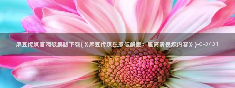 麻豆传媒官网电影：麻豆传媒官网破解版下载(《麻豆传媒独家破解版：超高清视频内容》)