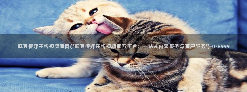 麻豆传媒官网电影：麻豆传媒在线视频官网(\