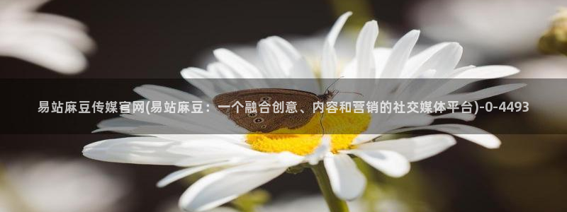麻豆传媒官网怎么打开：易站麻豆传媒官网(易站麻豆：一个融合创意、内容和营销的社交媒体平台)