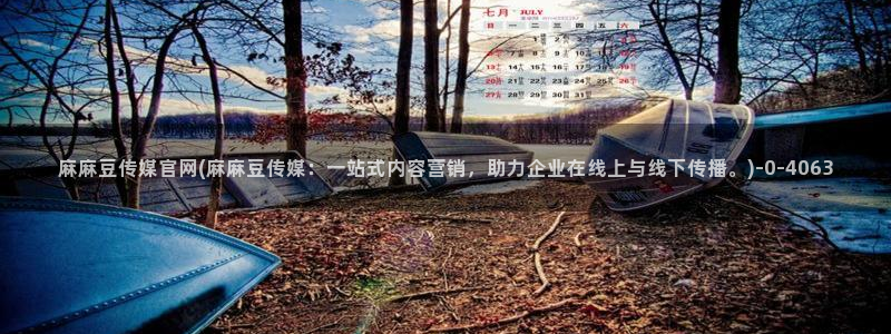 md 麻豆传媒官网