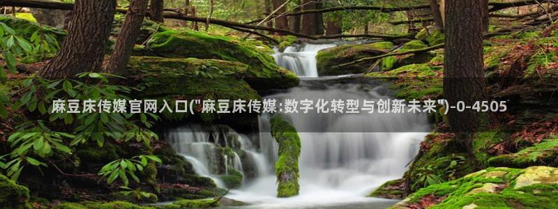 麻豆传媒官网梦梦：麻豆床传媒官网入口(\