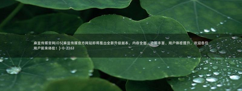 91麻豆传媒app官网:麻豆传媒官网iOS(麻豆传媒官方网站即将推出全新升级版本,内容全面、功能丰富、用户体验提升,欢迎各位用户前来体验!)