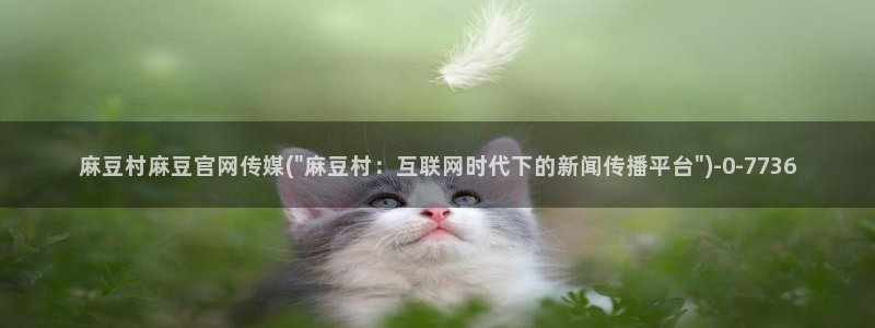 麻豆传媒app官网:麻豆村麻豆官网传媒(\
