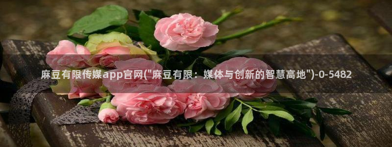 麻豆i传媒官网：麻豆有限传媒app官网(\