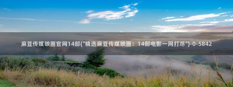 麻豆传媒官网拍摄视频：麻豆传媒映画官网14部(\