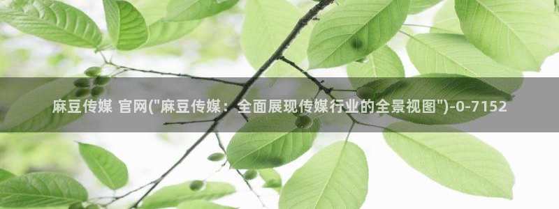 麻豆映象传媒官网：麻豆传媒 官网(\