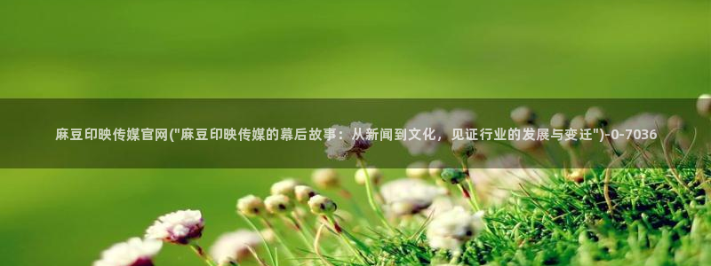 麻豆传媒视频app官网：麻豆印映传媒官网(\