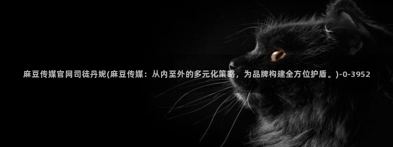 md mup 麻豆传媒官网：麻豆传媒官网司徒丹妮(麻豆传媒：从内至外的多元化策略，为品牌构建全方位护盾。)