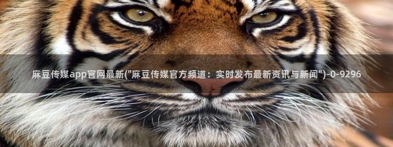 麻豆新传媒官网：麻豆传媒app官网最新(\