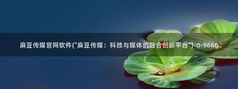 麻豆床传媒官网2021：麻豆传媒官网软件(\