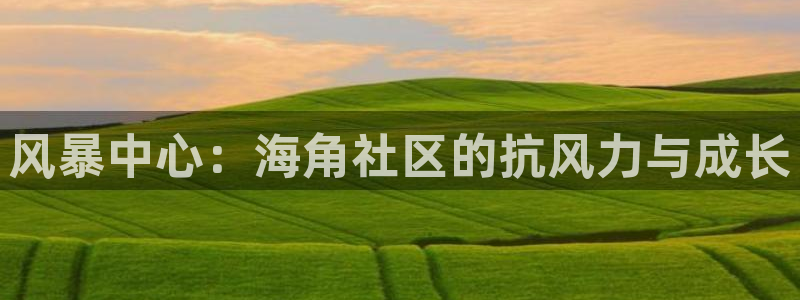 海角社区官方网址进入：风暴中心：海角社区的抗风力与成长