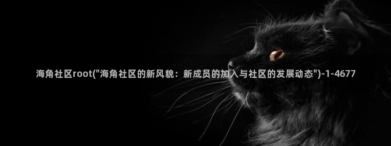 类似海角社区：海角社区root(\