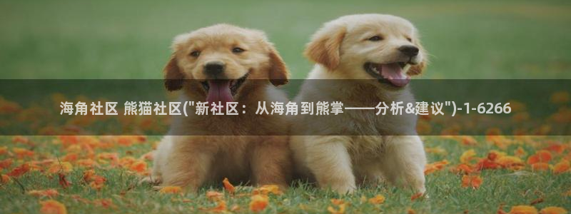 海角社区怎么注册密码：海角社区 熊猫社区(\