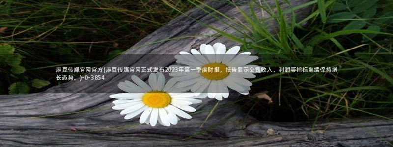 麻豆视频传媒官网