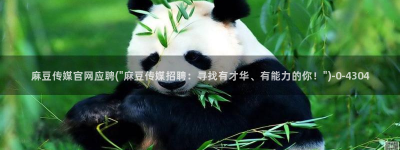 麻豆文化影视传媒官网