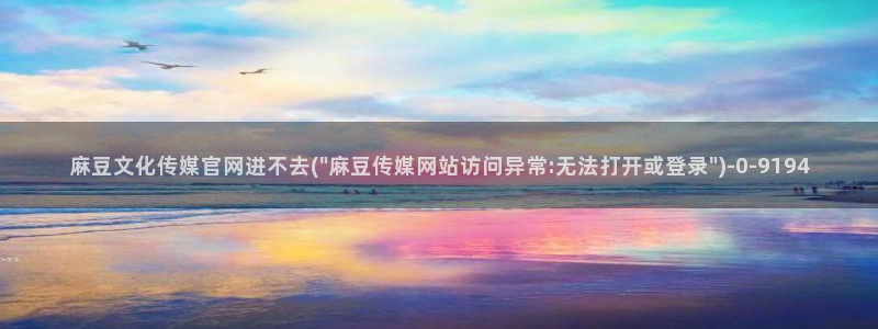 麻豆传媒官网装l